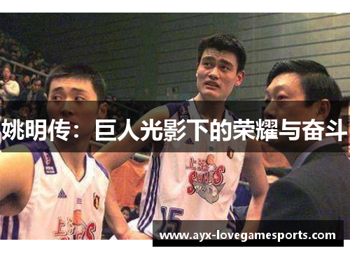 姚明传：巨人光影下的荣耀与奋斗