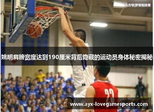 姚明肩膀宽度达到190厘米背后隐藏的运动员身体秘密揭秘